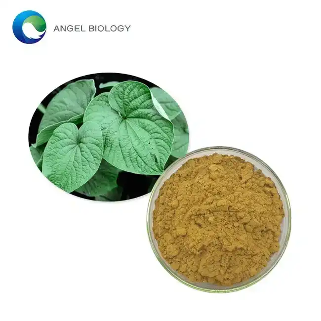 Unlocking the Health Potential of Kava Root Extract